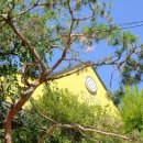 스시아시타송천 이미지