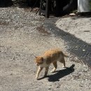 클럽프리모 | 강원도 감성 제대로였던 프라이빗 계곡과 수영장 있는 글램핑장 횡성 클럽프리모 글램핑 내돈내산 후기