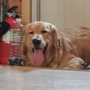 금동펜션 이미지