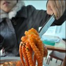 서산낙지 이미지