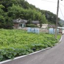 나산리마을회관 이미지