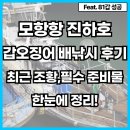 갯바람 | 모항항 진하호 갑오징어 배낚시 후기, 조황체크 및 준비물 한눈에 정리!