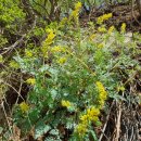 산성계곡 생태공원 내 | 인제천리길4구간 (안개 덕이길)용늪생태학교-당봉산성(26.4.7)