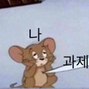 유림-19 이미지