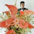 제주 웨딩 스냅 준비 &lt;기억해 영원히&gt; 기영 작가님 추천