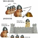 중세갤러리 이미지