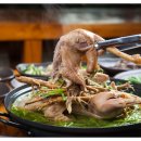 합천한방오리 이미지