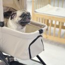 최종주동물병원 이미지