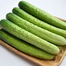 더자인 쇼핑하우