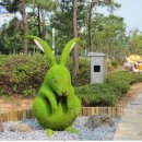 청주문화방송(주)