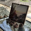 스테이인터뷰 이미지