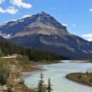 파크필드 이미지