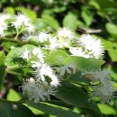 하늘아래첫집 이미지