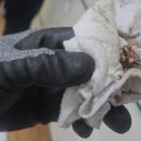 청산경로당 이미지