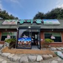 송이골 | 양양 송이골 아침 맛집 송이버섯전골 든든하게 먹은 후기