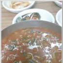 판산골농장 Daum카페