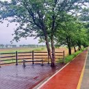 이팝나무길 이미지