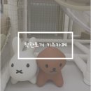 일주동로 | 제주 키즈카페 대관 착한토끼 후기