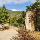 자연in | 각북면 아떼에르 인 예다숲(Atelier in 예다숲) 대형 카페 방문 후기! 자연속 힐링 숲의 한옥 카페...