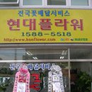 전국꽃배달 이미지
