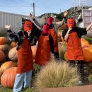 별똥농장 이미지