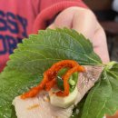 [서초, 교대 / 맛집] &#39;서리풀식당&#39;에서 점심 보쌈 내돈내산 후기!