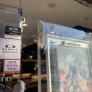 영진안경 이미지