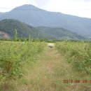 영학농장 이미지