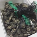 벌교제일수산 이미지