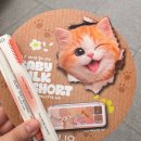 클리오디자인 | 성수 팝업 서울숲 클리오팝업 실망 후기 + 위치 이벤트 정보