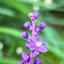 운중초등학교 이미지