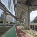 쿨헬스클럽 | 큐리신 피에프- 포춘지가 주목한 헬스케어 템, 바르는 통증 파스 솔직 후기