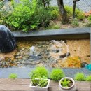 SLOW팬션 이미지