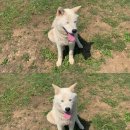 청돌집 | 커다란