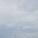 삼척에 바다수영 다녀왔어요 이미지