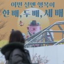 배*두