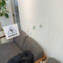 힘내라한의원 이미지