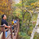 치유, 명상의 숲 이미지