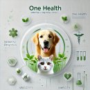 (주)솔벳 이미지