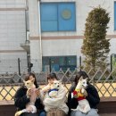 더 블루 이미지