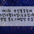 훼밀리호 | 2015년제11회 부산불꽃축제확정!!10월24일 유람선 관람 블로그체험단 모집합니다.