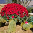 가연에너지 이미지