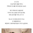 도그마루 강아지 고양이 마포용산점 이미지