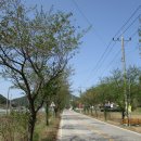 경기둘레길 양평28코스 이미지