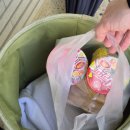 B Stay | 영덕 자쿠지 숙소 추천 / 테라키아 STAY B 내돈내산 후기