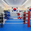 한국복싱캠프 이미지