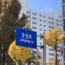 차차 101(CHACHA 101) 이미지
