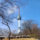 제주면장남산서울 이미지