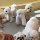 하이도기 이미지