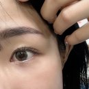 [수원 율전동 눈썹 : 로엔브로우] 자연눈썹 후기, 당일-3일-2주 기록